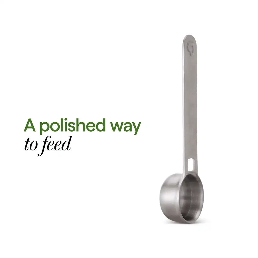 Stainless Steel Infant Formula Scoop